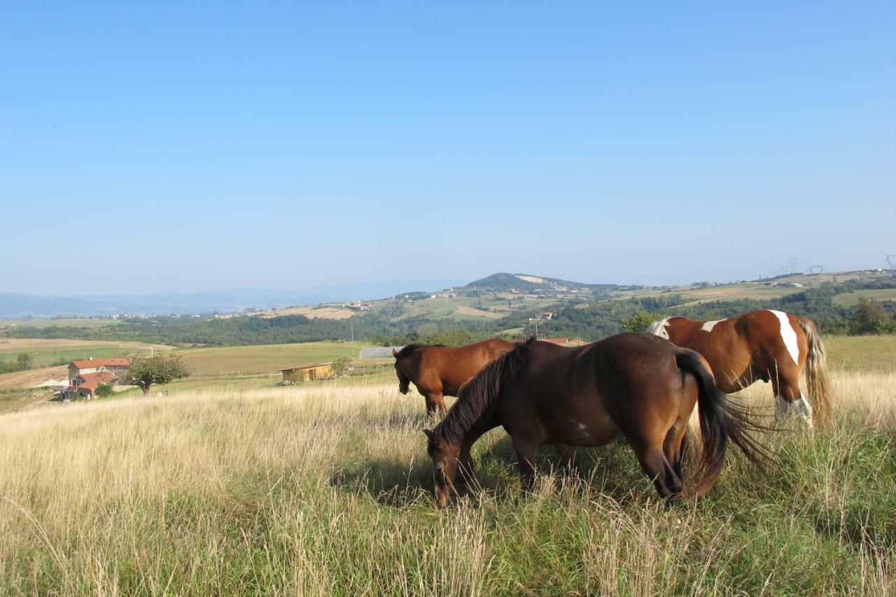 Gite Le Corral Cheminas ภายนอก รูปภาพ